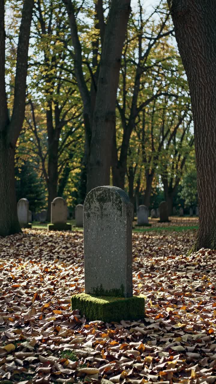 Low-angle video frame of a moss-covered gravestone in a serene, leaf-strewn cemetery