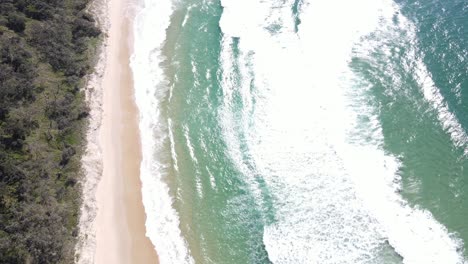 aerial drone panning up along a beautiful beach and headland in noosa national park