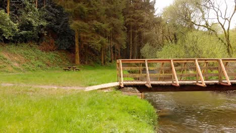 foot bridge and stream on a sunny day 4k