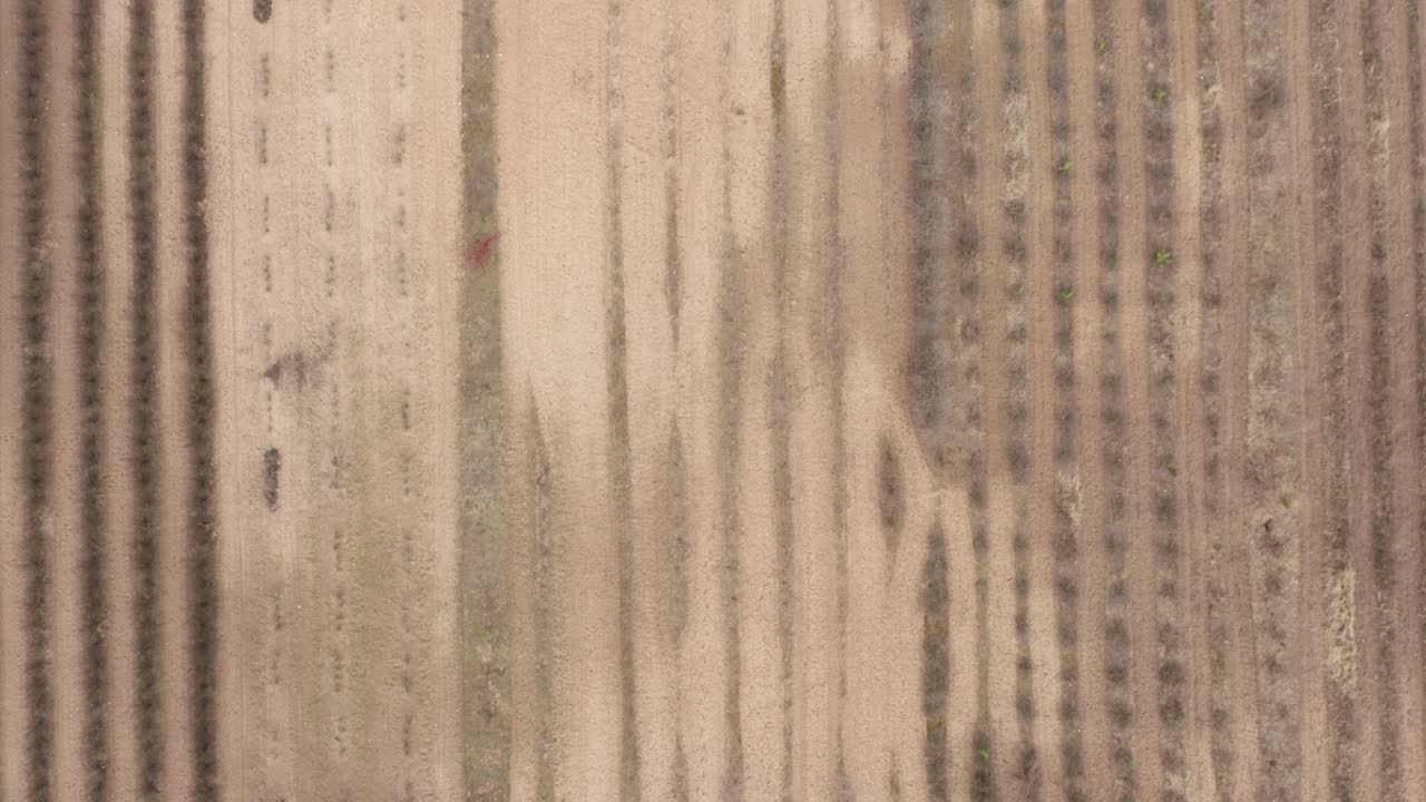 공중:농업 재배 식물을 심을 준비가 된 농장