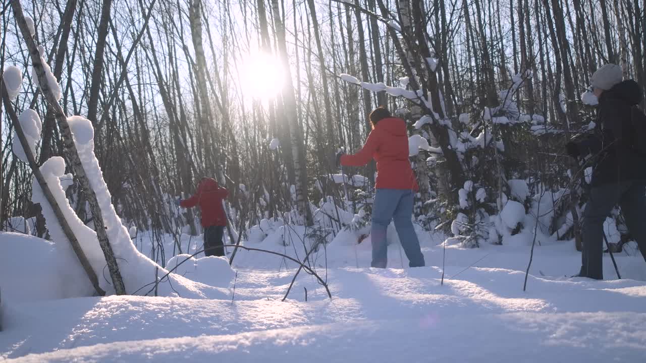 dos personas con raquetas de nieve en un bosque de invierno