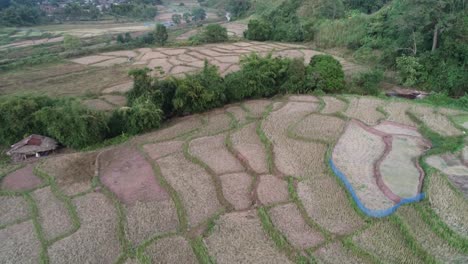 Parte-Trasera-Del-Carro-Aéreo-Que-Revela-Campos-De-Arroz-Cosechados-En-Seco