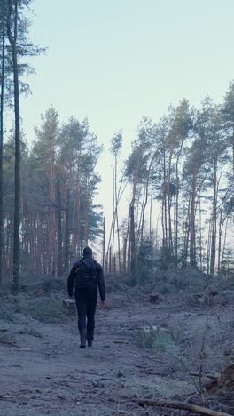 man hiking in a frozen forest