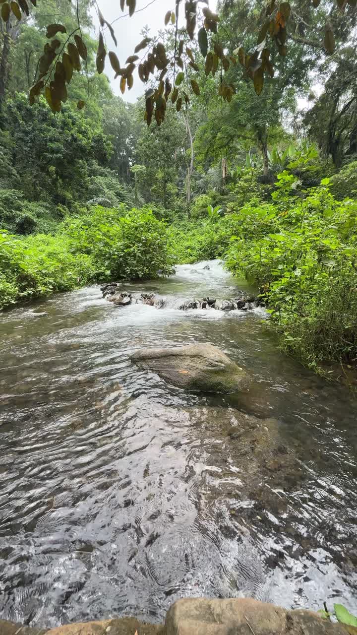 Acqua tranquilla di fiume che scorre sulle rocce in una foresta tropicale