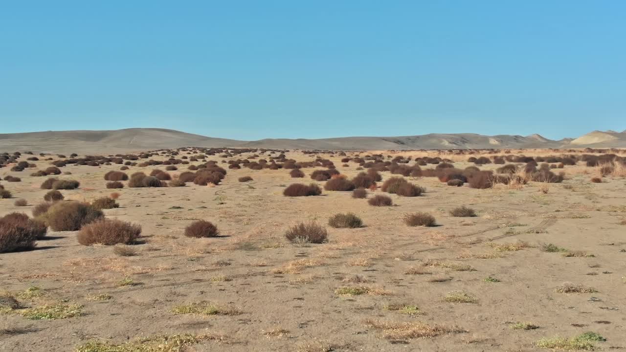 Paisagem árida na Geórgia com arbustos e colinas distantes sob luz suave