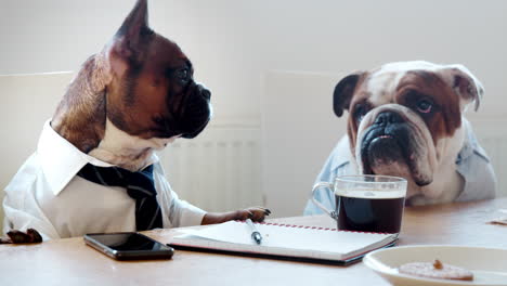 two dogs sitting in an office meeting room