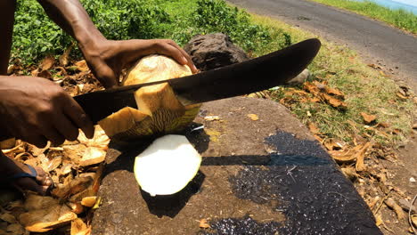 pov shot of a man cutting a coconut on a rock, sunny day in sao tome and principe