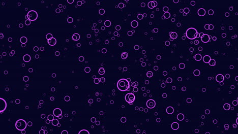 floating pink bubbles on black background