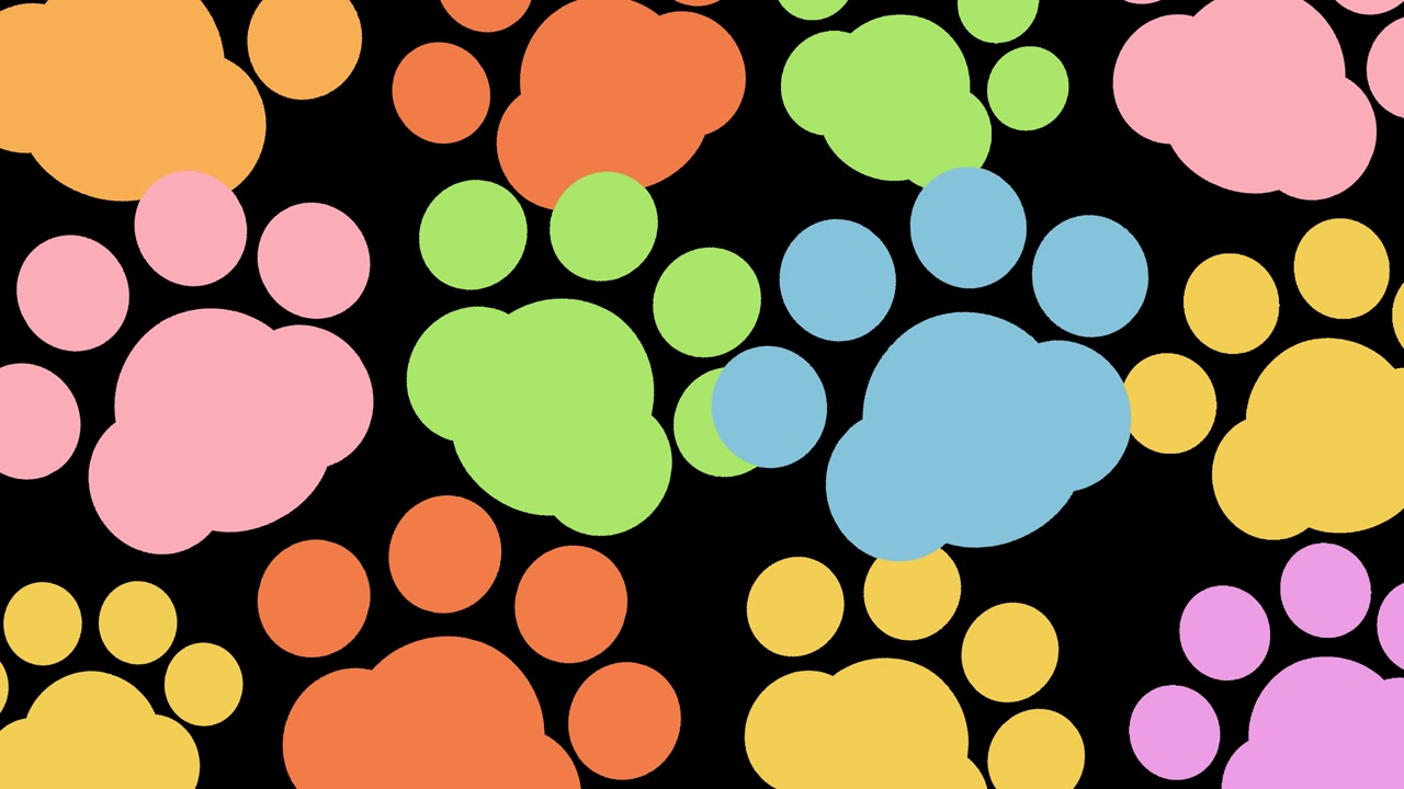 Animal footprints, paws animation video