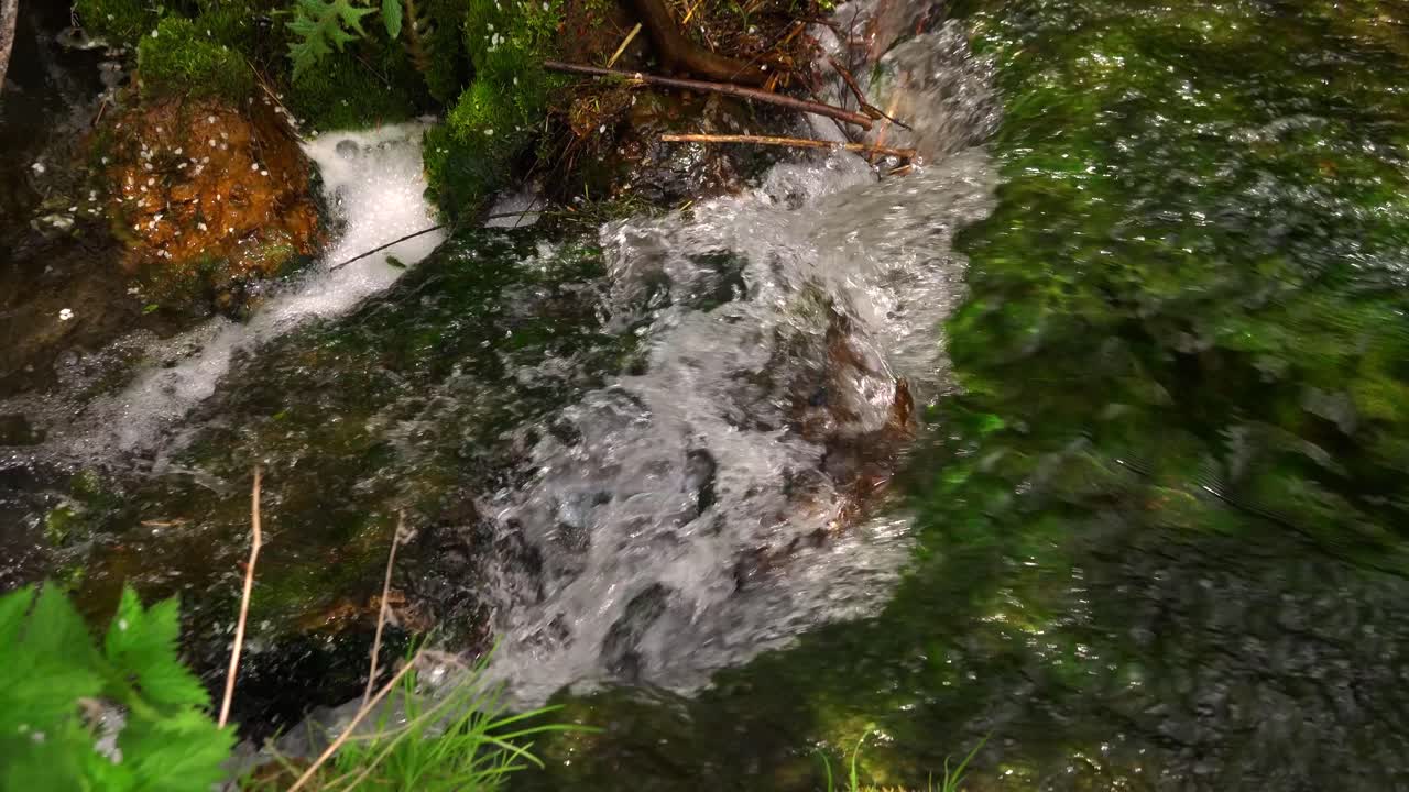 Lille vandfald i skoven 01