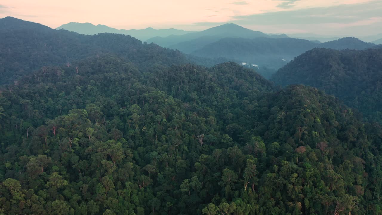 toma aérea hacia atrás del paisaje de la selva tropical alrededor del amanecer en el parque nacional gunung leuser, el patrimonio de la selva tropical de sumatra, indonesia