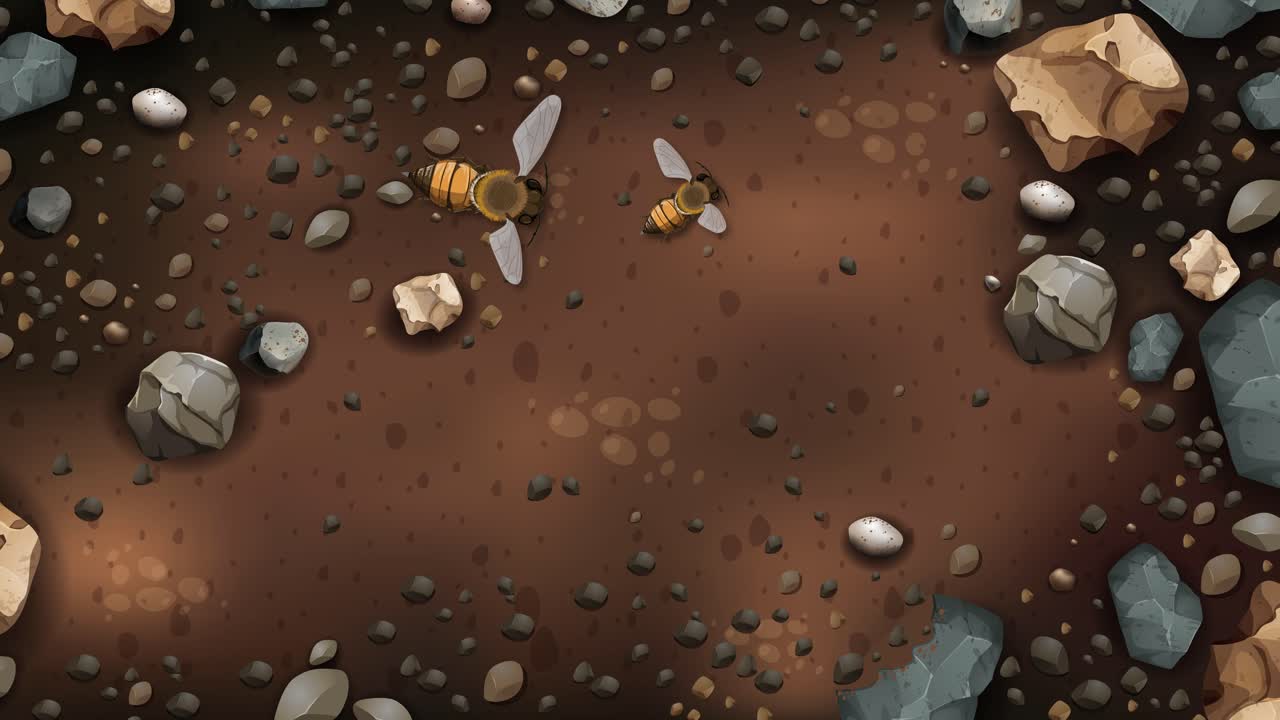 벌 이 바위 지형 을 가로질러 항해 한다