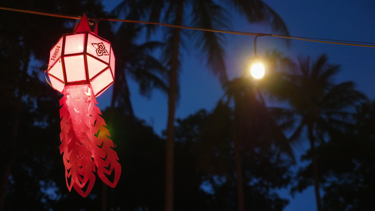 Pink Paper Lanterns at Night