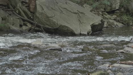 Water-flowing-over-large-stones,-Wissahickon-Creek,-Philadelphia