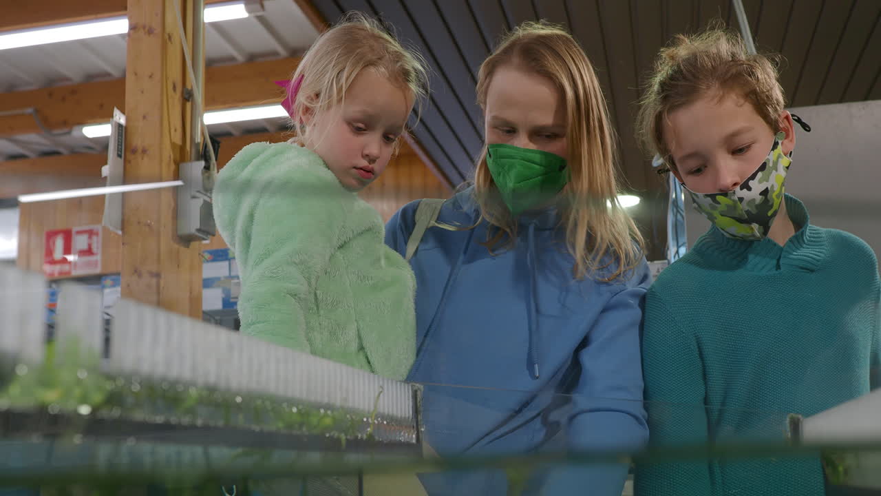 мать с детьми смотрят на аквариумные растения в магазине