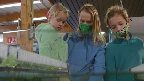 mother with kids looking at aquarium plants in the shop