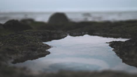 rockpool at the seaside reflects an overcast cloudy sky