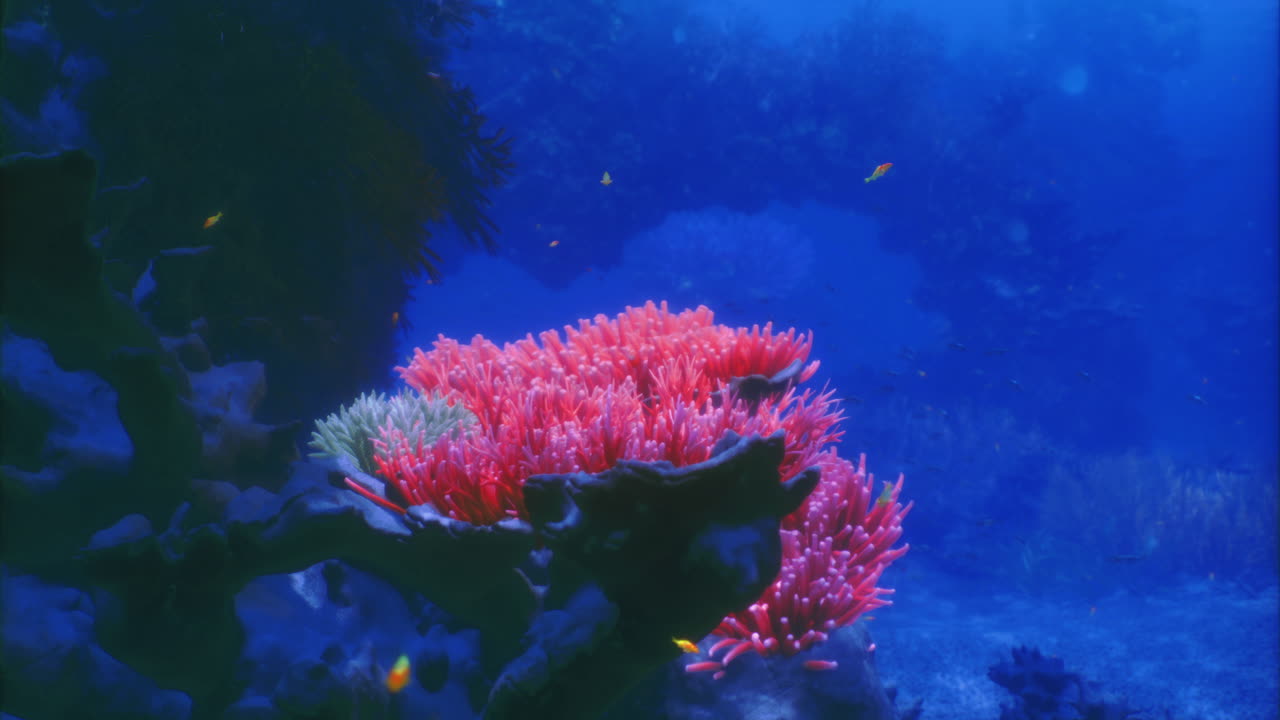 Vibrante barriera corallina fiorente sotto acque oceaniche cristalline