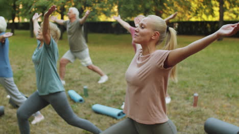 ältere menschen, die im freien mit einer weiblichen lehrerin yoga trainieren