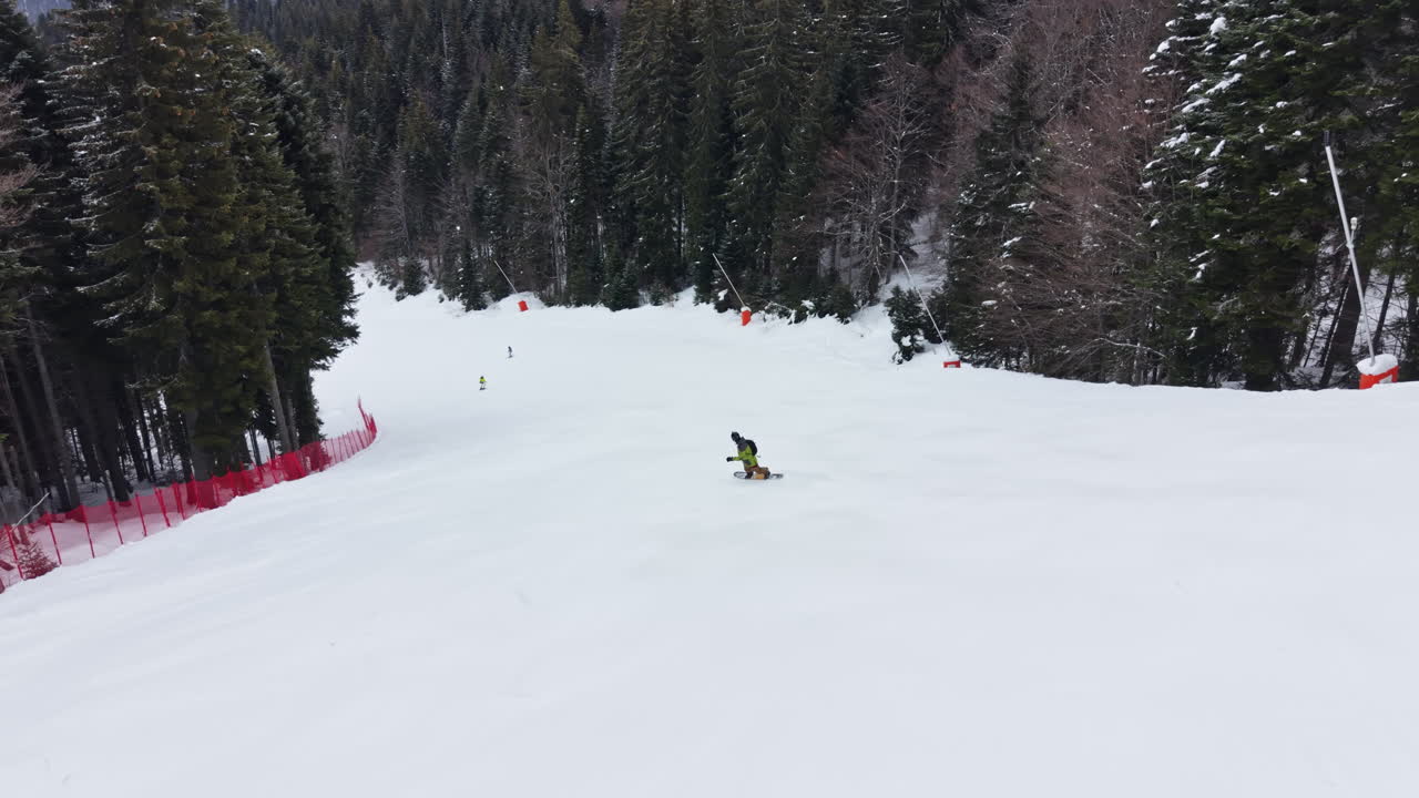 Un'attività sciistica si svolge su un pendio innevato vicino ad alberi alti, con diverse persone che si godono gli sport invernali in una zona montuosa.