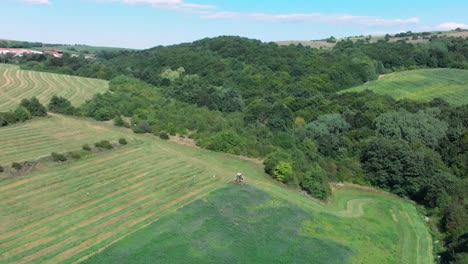 toma panorámica aérea de la cortadora de césped y el vuelo de las cigüeñas se alimentan en el campo de hierba-2