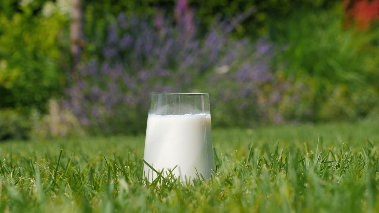 un vaso de leche en un jardín