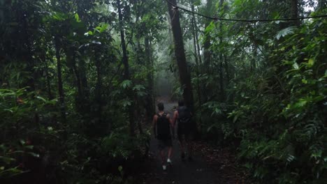 two men in the lush green foliage and towering trees, through the rainforest on the way to catarata del toro in costa rica
