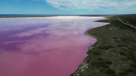 vista aérea inversa de las orillas del lago hutt pink en australia occidental, cerca de kalbarri