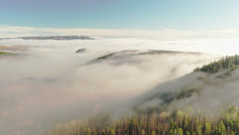 Northern-Colorado-Drohnenaufnahmen-Von-Herbstfarben-In-Den-Bergen