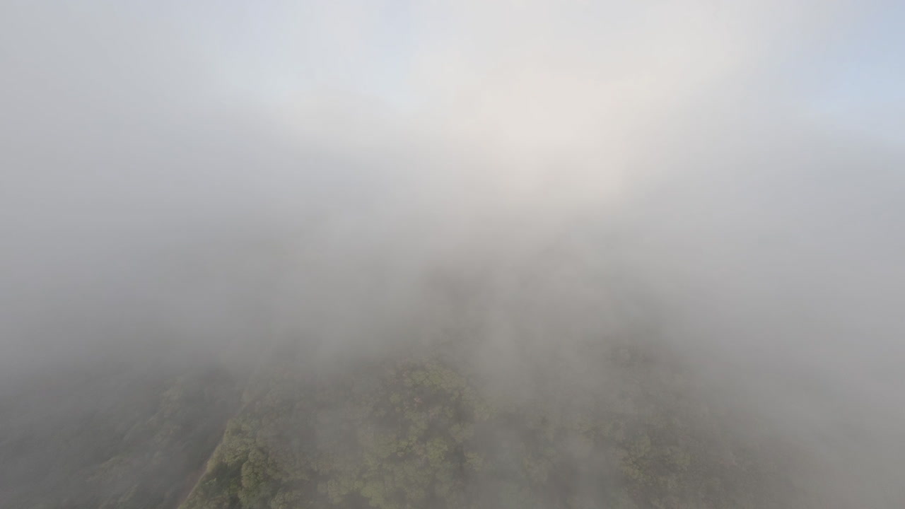 카탈로니아 알레라 삼림 계곡 나무 위의 낮은 구름을 통해 날아가는 빠른 속도의 fpv 드론