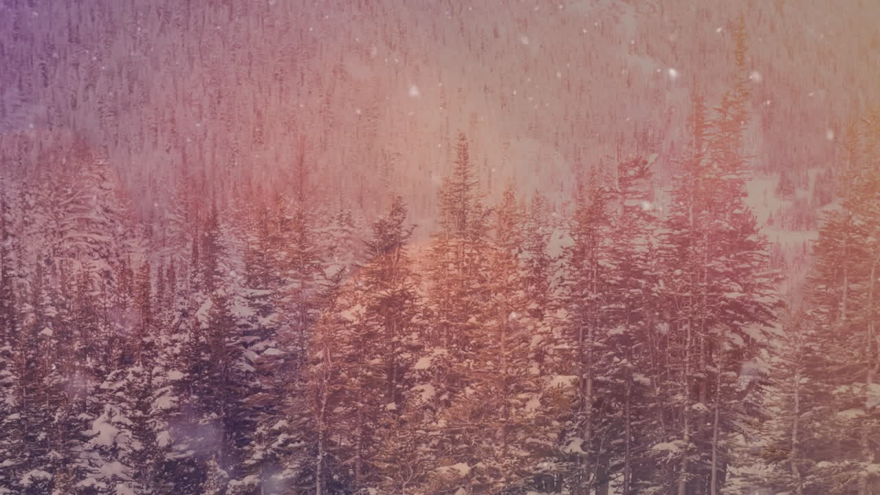 animación de múltiples puntos parpadeantes de luz sobre un paisaje de invierno en el bosque