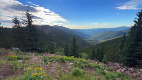 Summer-sunny-morning-wildflowers-Echo-Mountain-clear-Creek-county-Idaho-Springs-Evergreen-Mount-Blue-Sky-Evans-fourteener-roadside-drive-adventure-Rocky-Mountains-Continental-Divide-pan-right