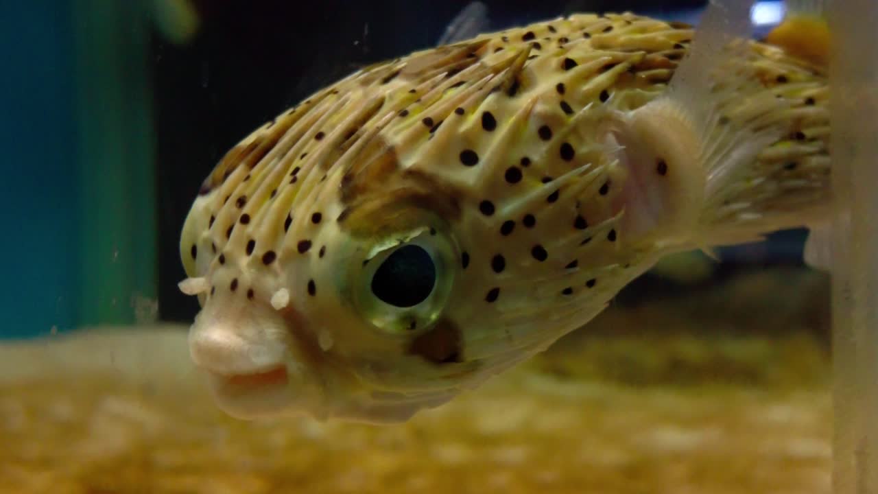 la mejor vista del pequeño liuqiu