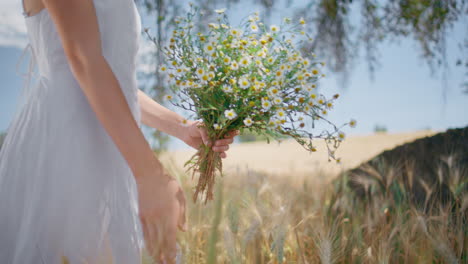 woman figure walking spikelets field closeup. happy rural lady sniffing bouquet