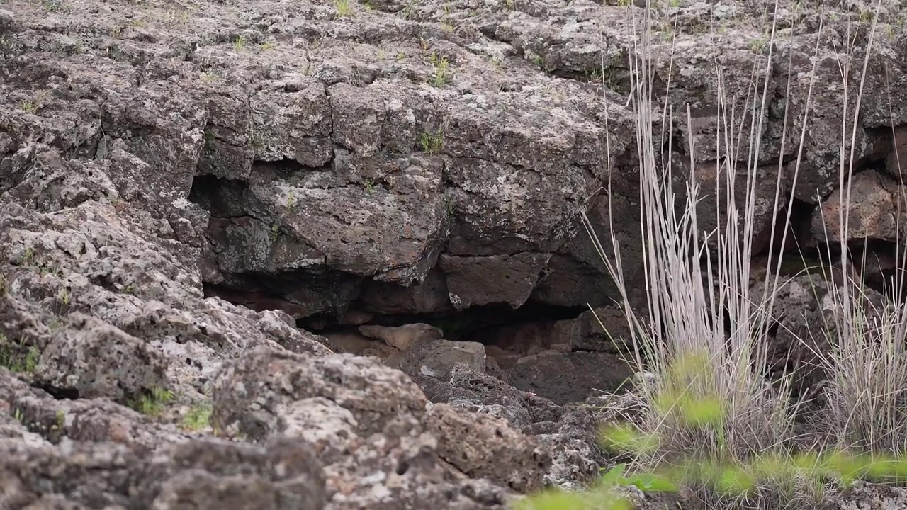 Ingresso di una grotta vulcanica a tubo di lava in un paesaggio roccioso