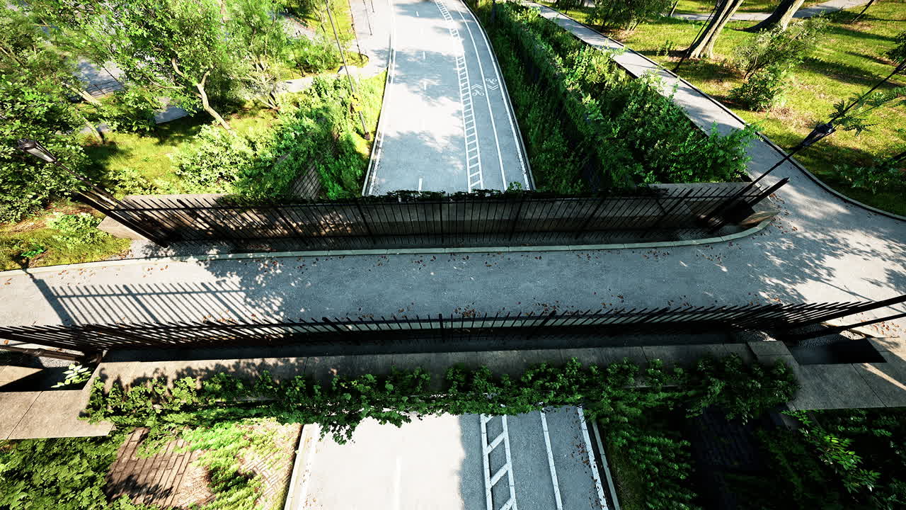 여름 날 의 센트럴 시티 파크