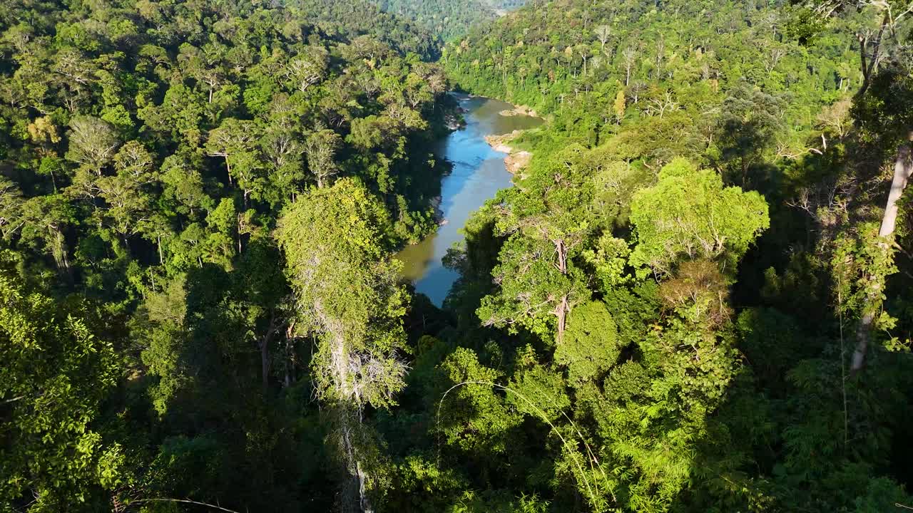 Close fly through a tree canopy revealing the Tembeling River winding through the lush rainforest of Taman Negara, Malaysia.