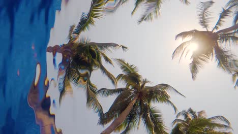 Palm-trees-viewed-from-inside-a-pool-under-the-water-ripples---Slow-Motion