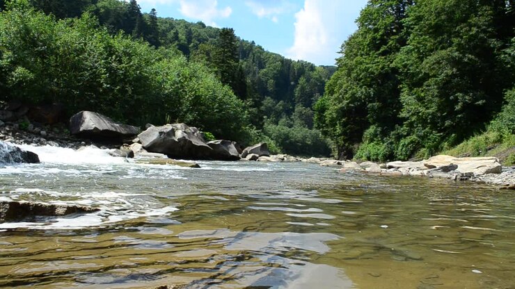 Rivière de montagne. Prise de vue en montagne
