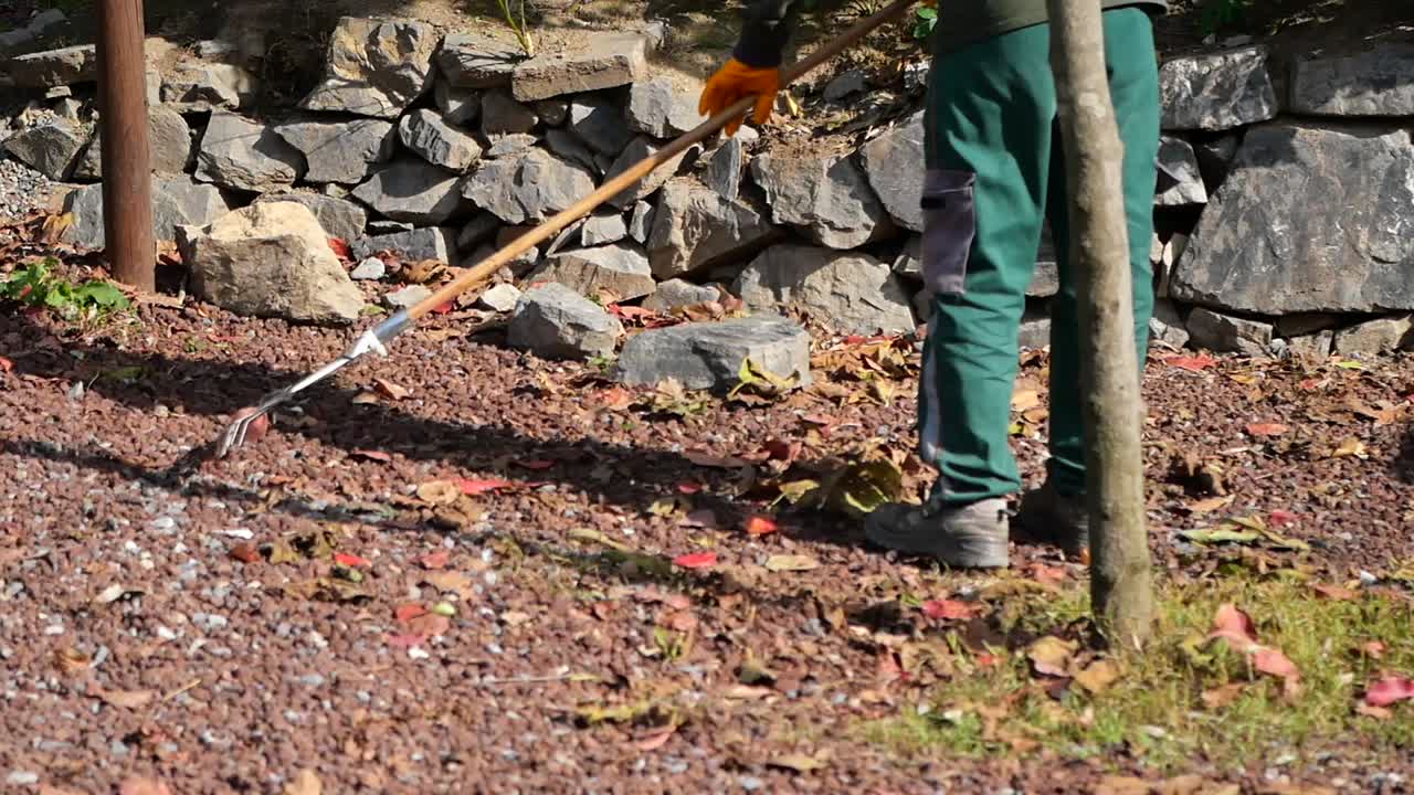 Gardener raking leaves