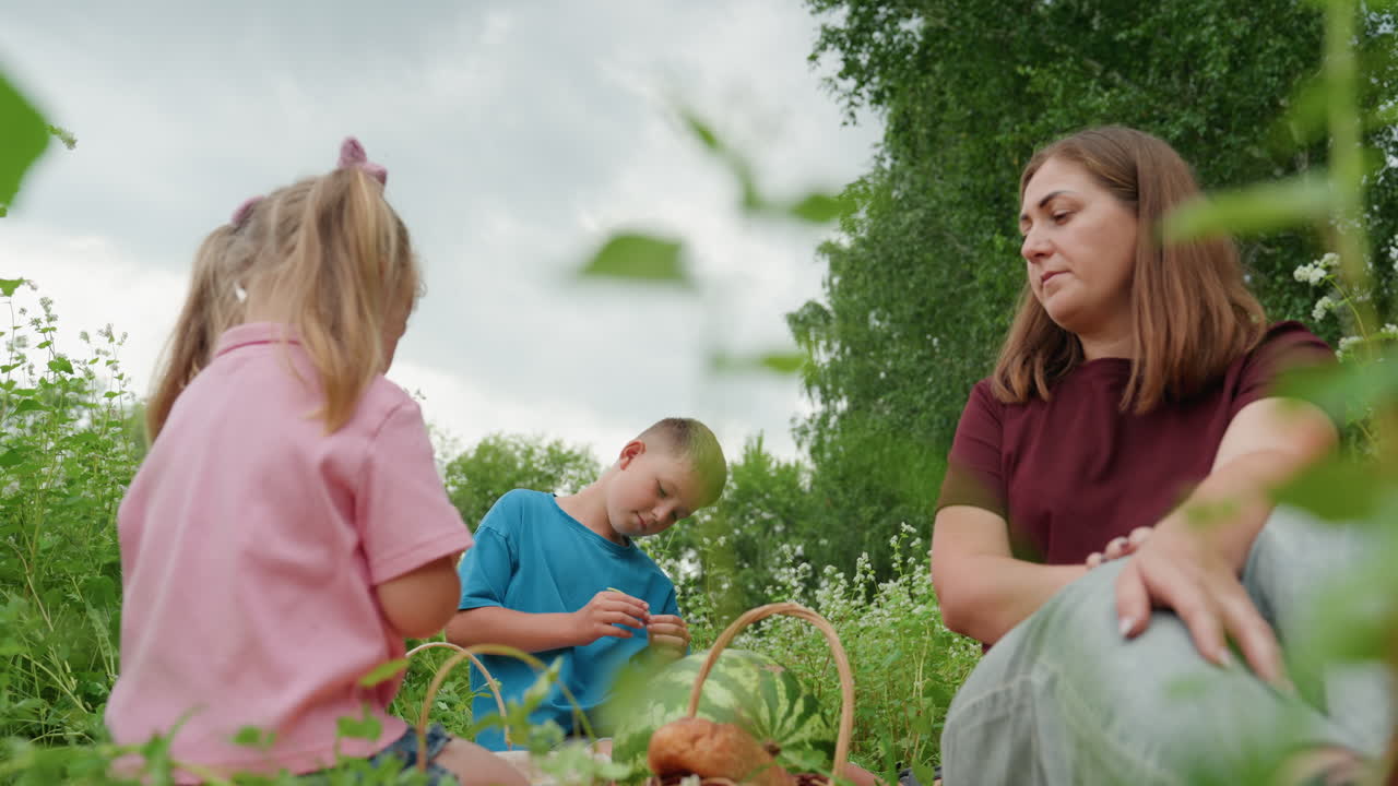흰색 옷을 입은 엄마와 아이들이 초원에서 베리류를 따고 있어요. 엄마는 아이들에게 부드럽게 수확하고 맛보는 방법을 알려주고, 옆에는 버드나무 바구니가 놓여 있고, 하늘은 흐리고, 여유로운 분위기, 세심한 육아