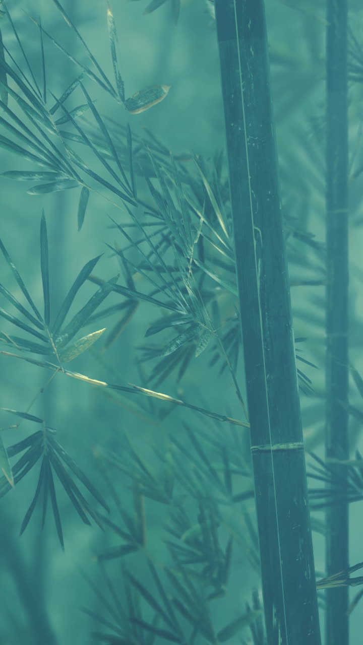 un primer plano del bambú