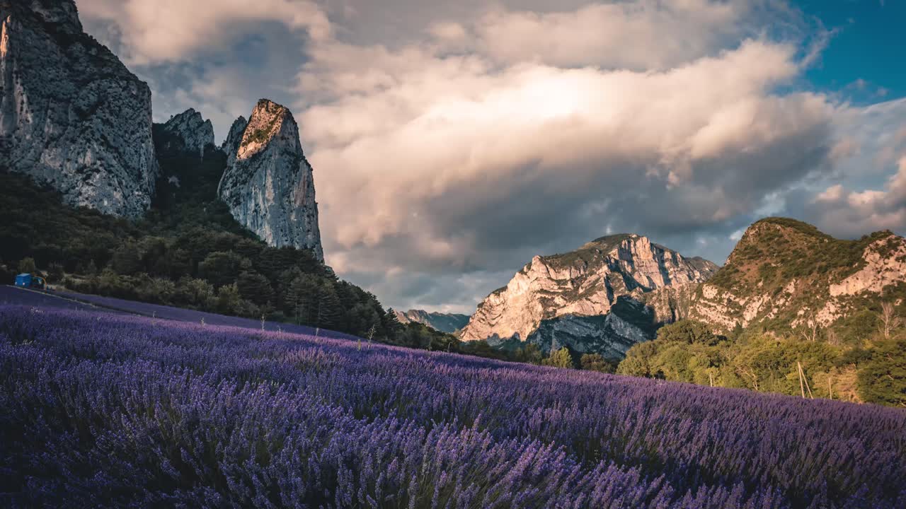 timelapse de un campo de lavanda en el sur de francia en un día de verano con nubes, saou, departamento de drôme, francia
