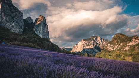 timelapse of a lavender field in southern france on an summer day with clouds, saou, drome departement, france