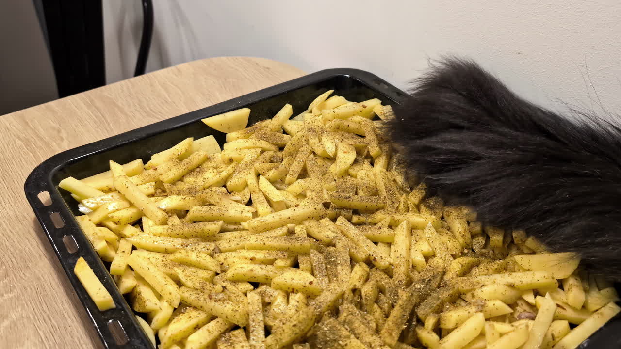 Hand seasoned french fries in a tray with a cats tail above in motion, kitchen setting