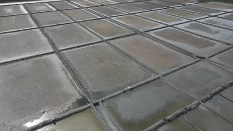 salt flats with mud on the aveiro region
