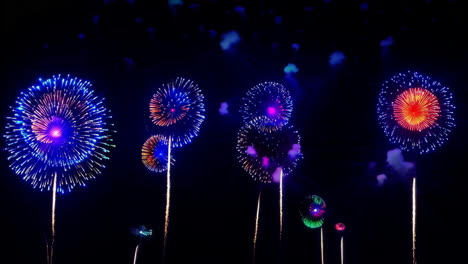colorful fireworks display in the night sky