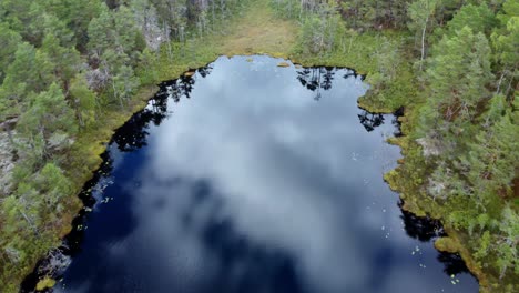 imágenes aéreas de un pequeño lago en lo profundo de las dalslands suecas