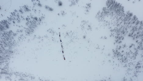 aerial drone view of reindeers pulling people on sleigh in norway