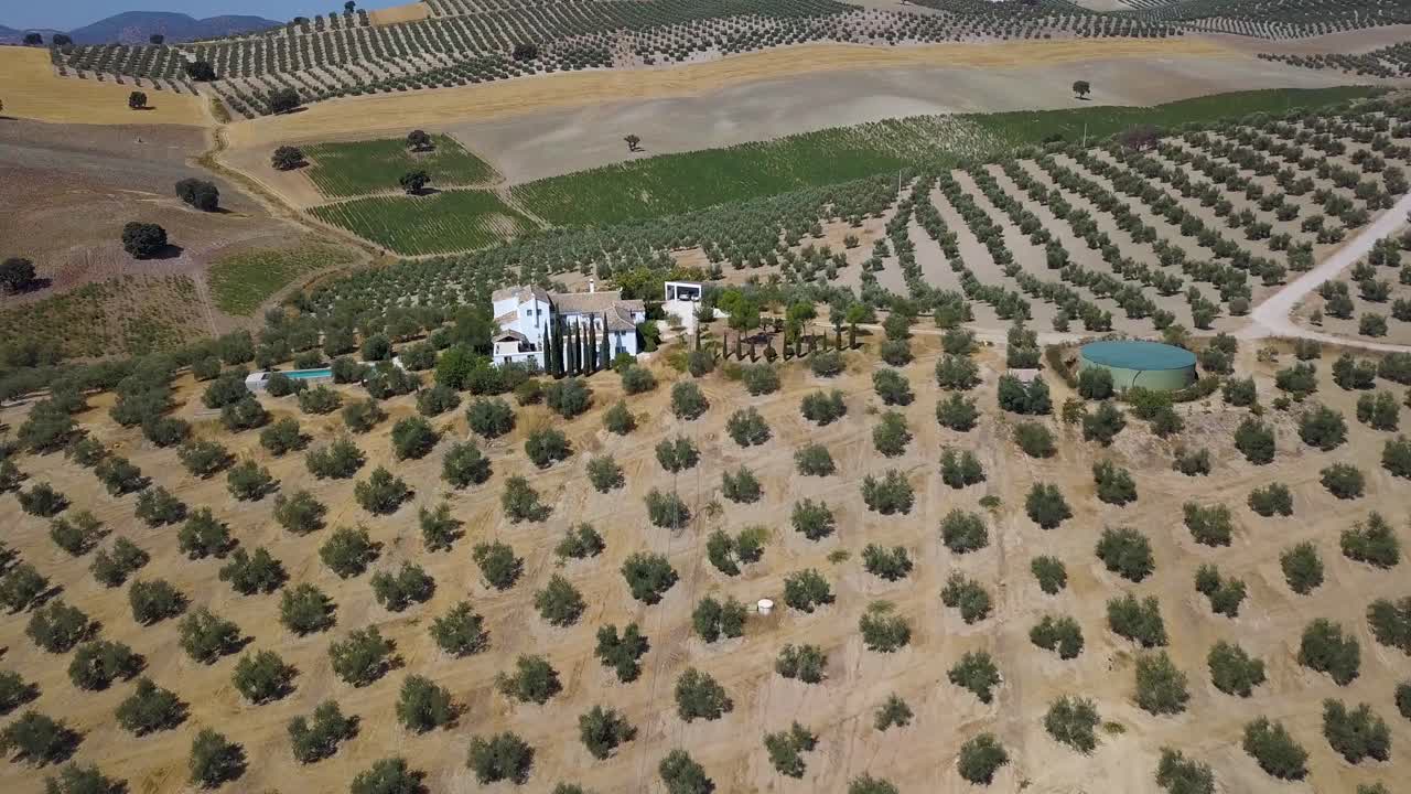 toma aérea con inclinación hacia abajo sobre una gran casa de cortijo con piscina y rodeada de campos de olivos en españa